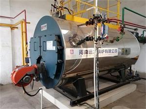 湖北藥廠移栽靈農(nóng)業(yè)科技2噸燃氣蒸汽鍋爐